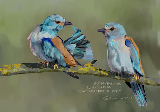 Bernd Stein art study