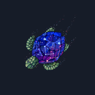 Galaxy turtle